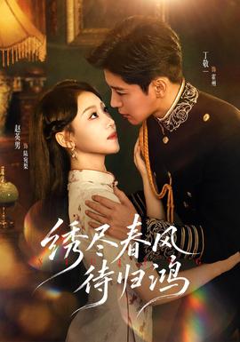 绣尽春风待归鸿封面